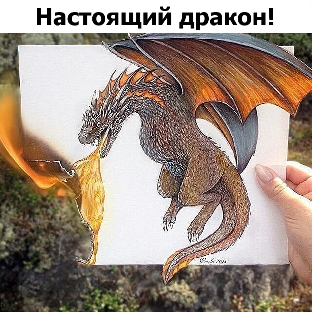 Зачетные и классные фотографии с надписями из сети Зачетные и классные фотографии с надписями из сети картинки с надписями,приколы,смешные картинки,смешные комментарии