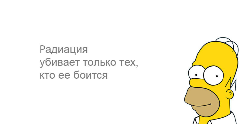 10 заповедей Гомера Симпсона  гомер симпсон, симпсоны, симпсоны в жизни