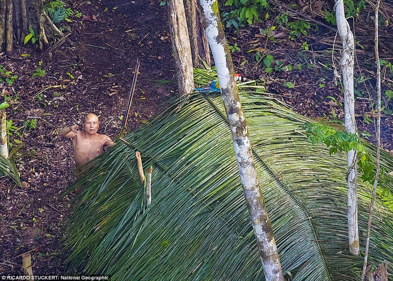 Первый контакт: невероятные фотографии аборигенов Амазонки амазонка, индейцы, латинская америка, путешествия