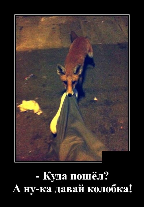 - Что означают пятна на Солнце? - Окна пора мыть! - Что означают пятна на Солнце? - Окна пора мыть! анекдоты,демотиваторы,приколы