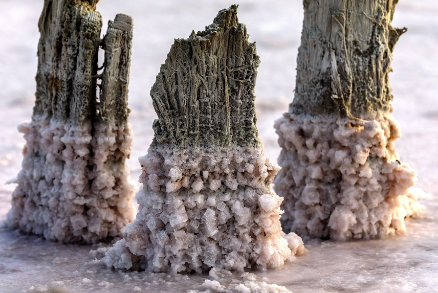 8 завораживающих фото розового Чокракского озера, которое находится в Крыму 8 завораживающих фото розового Чокракского озера, которое находится в Крыму путешествие,туризм