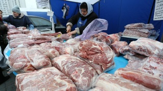 Осенняя продовольственная ярмарка в Барнауле / Фото: amic.ru