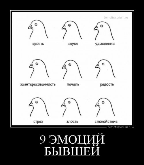 Свежая порция демотиваторов для хорошего настроения Свежая порция демотиваторов для хорошего настроения mir-interes.info