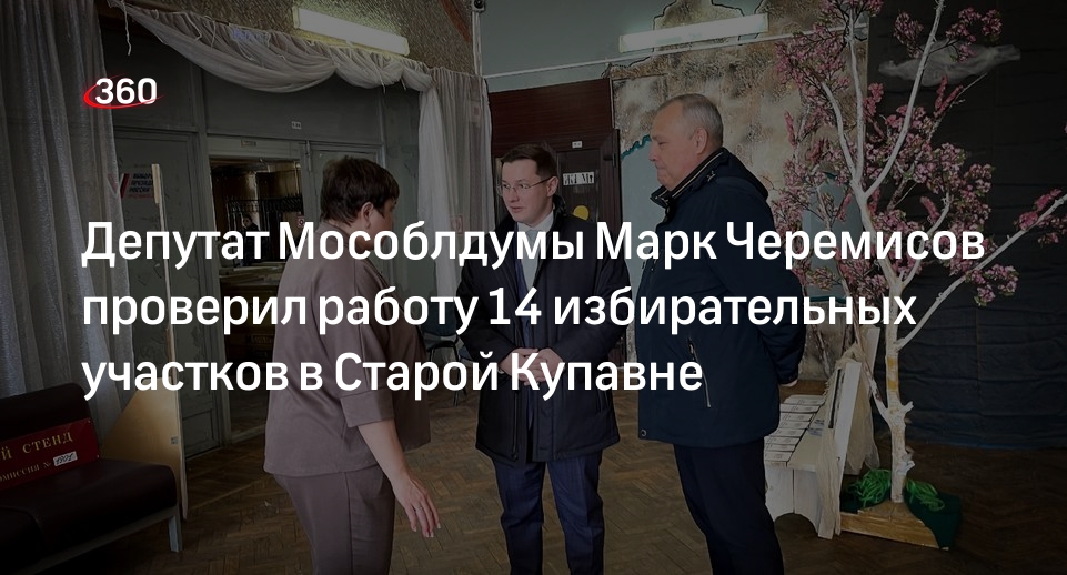 Депутат Мособлдумы Марк Черемисов проверил работу 14 избирательных участков в Старой Купавне