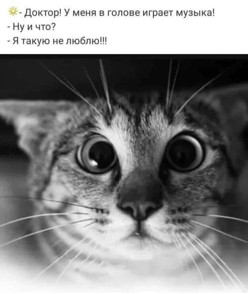 Пришла пора зарядиться позитивом! Подборка зажигательного юмора Пришла пора зарядиться позитивом! Подборка зажигательного юмора