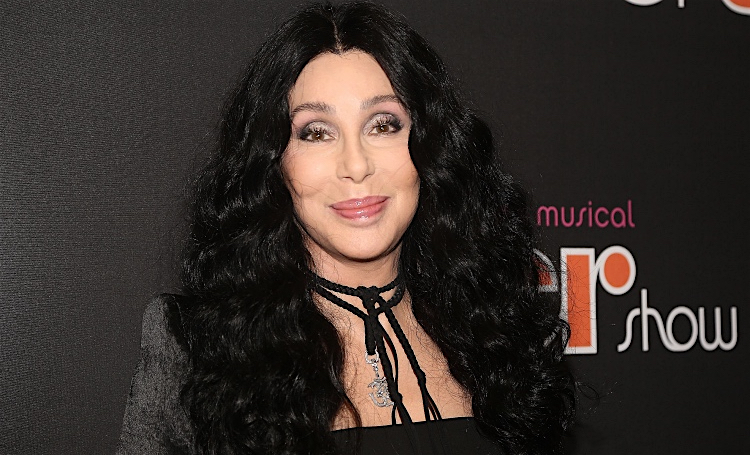 Певица Шер хочет стать почтальоном, но пока не получается: в чем дело