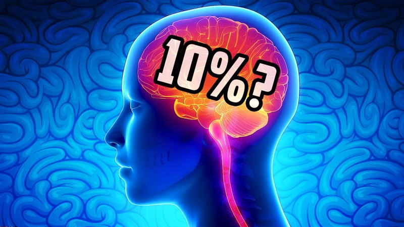 Мы используем только 10% своего мозга интересное, мифы, наука