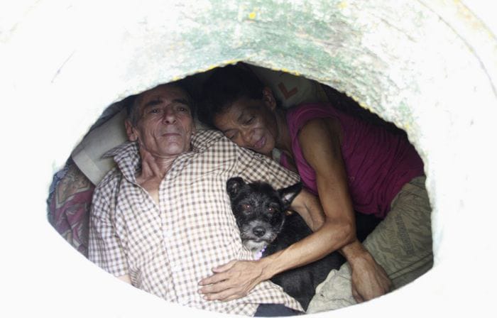 01-dog-sleeping