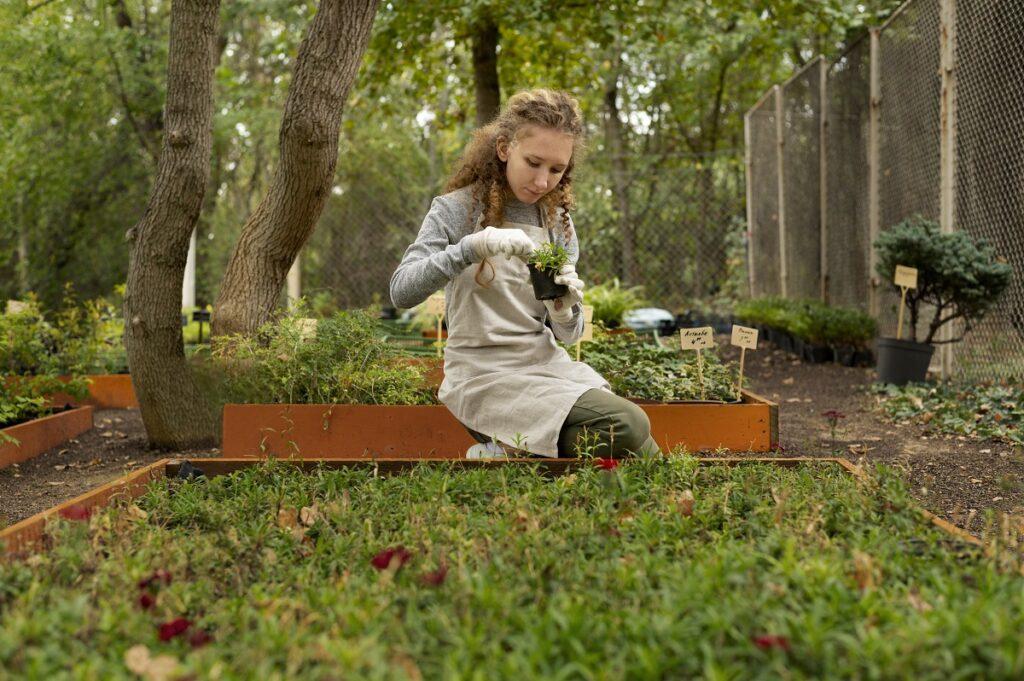 Как и когда использовать доломитовую муку: советы опытных огородников