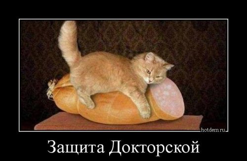 Свежие демотиваторы на любой вкус (22 шт)