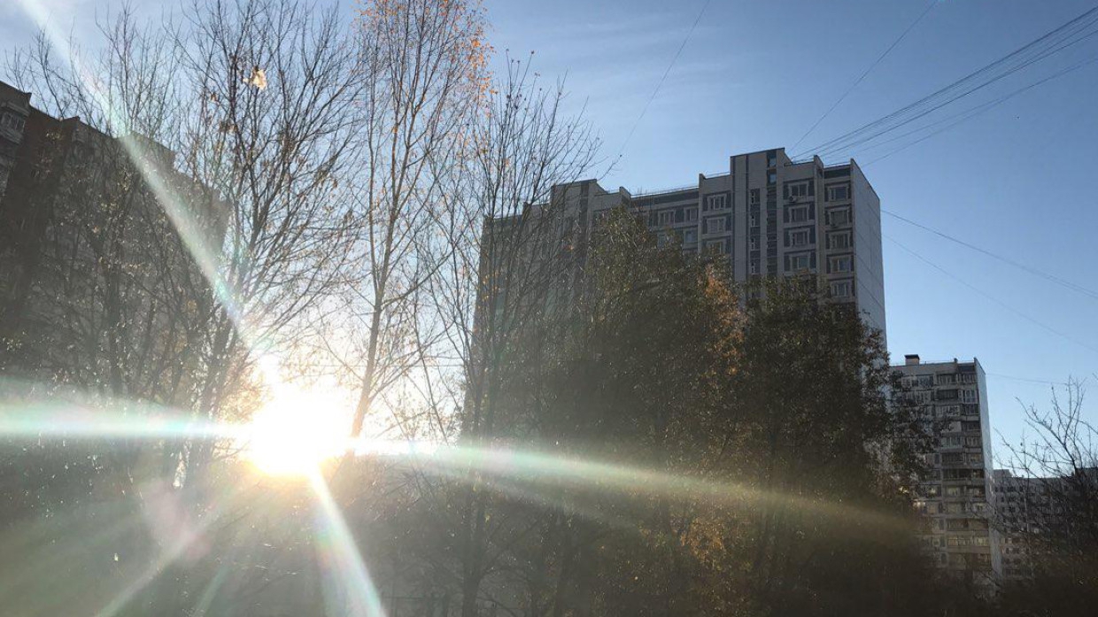 Гидрометцентр пообещал москвичам солнечную погоду на следующей неделе