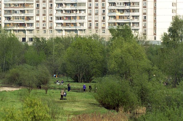 Шум в медведково