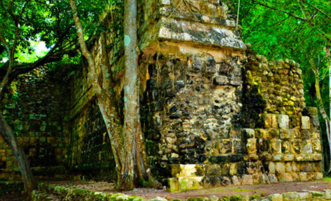 Древний дворец майя был скрыт больше 1000 лет: находка в джунглях дворец, метров, экспедиции, здание, алтарь, глава, Рубио, Альфредо, круглая, большая, стоит, дальше, Больше, может, расположен, центральной, комнат, разделен, Оказалось, дворца
