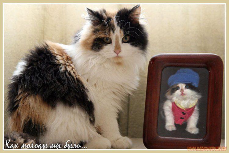 Давайте улыбаться вместе! :) (28поводов)