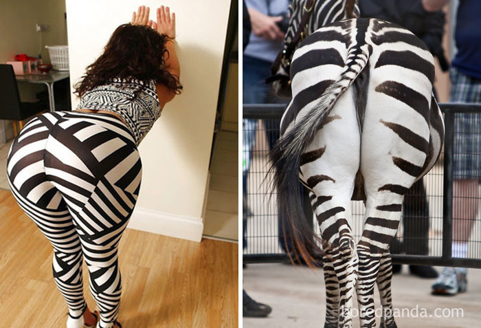 Девушка или зебра? мода, нелестные сравнения, смешно, фото
