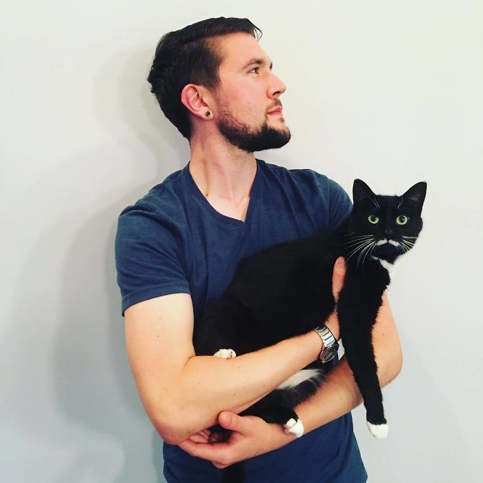 Man Cuddles Cats On Instagram