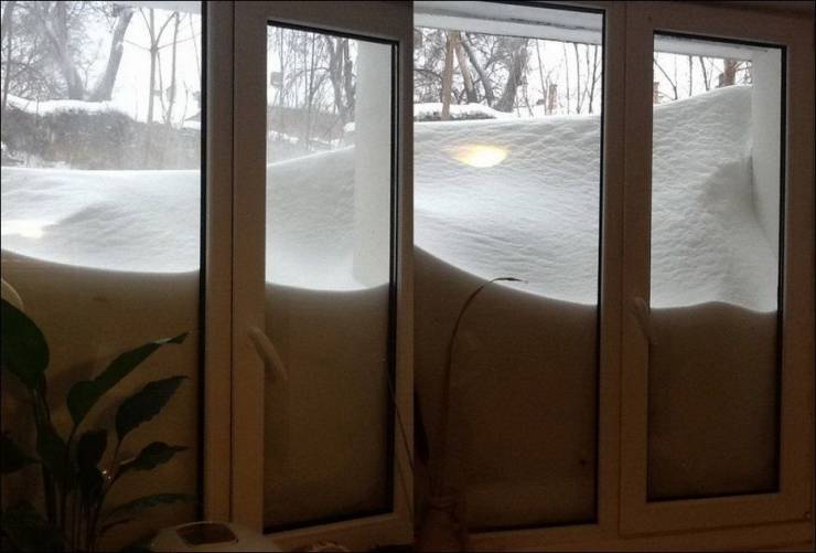 Подборка прикольных картинок  приколы,смешные картинки,юмор