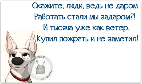 Прикольные фразки в картинках 