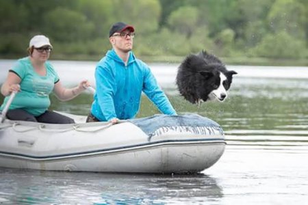 Прикольная фотоподборка (55 фото)