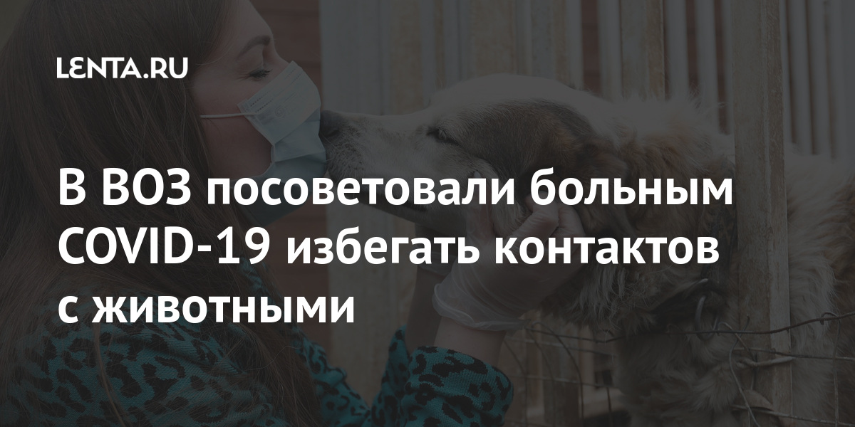 В ВОЗ посоветовали больным COVID-19 избегать контактов с животными В ВОЗ посоветовали больным COVID-19 избегать контактов с животными Россия