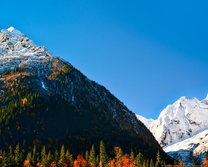 Домбай. Что не так с курортами Северного Кавказа путешествия, факты, фото