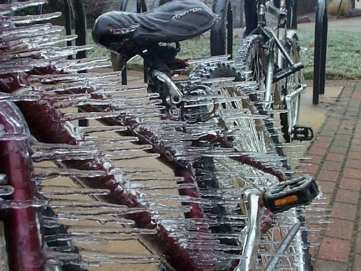 Подборка прикольных картинок  приколы,смешные картинки,юмор