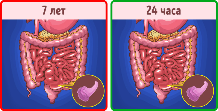 Доктор Комаровский ответил на 12 вопросов, которые волнуют каждого родителя Доктор Комаровский ответил на 12 вопросов, которые волнуют каждого родителя воспитание