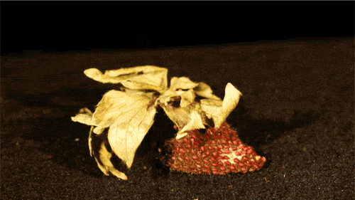 Подборка позитивных и смешных гифок 