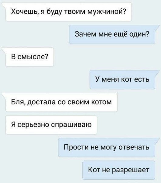 Счастье — это когда звезда упала, а загадать-то и нечего! открытки, приколы, юмор