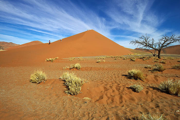 Как люди выживают в экстремальных условиях пустыни