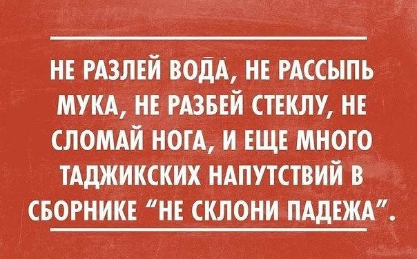 Минутка юмора, чтобы ненадолго отвлечься от работы