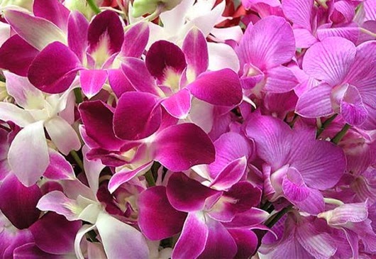 Что подарить на 8 Марта жене, а что любовнице