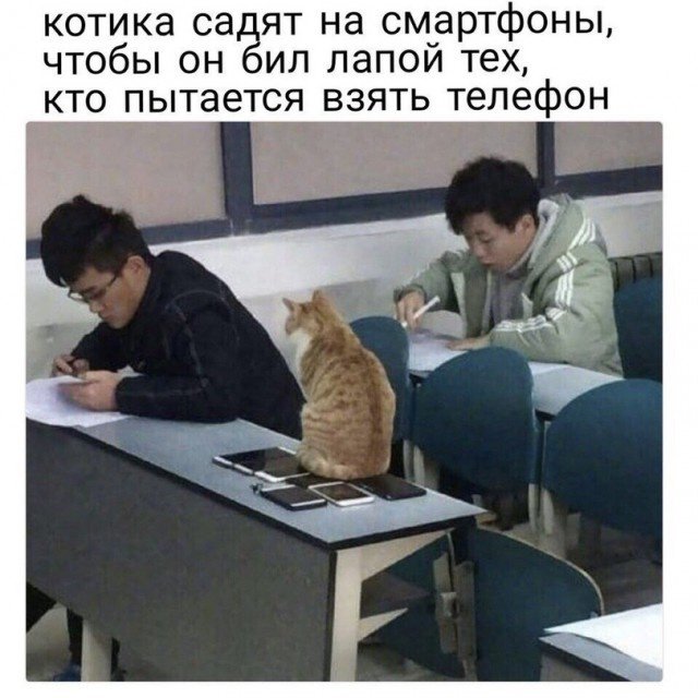 Юмор на разные темы 