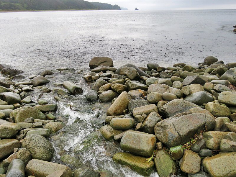 Кунашир: мыс Столбчатый Кунашир: мыс Столбчатый