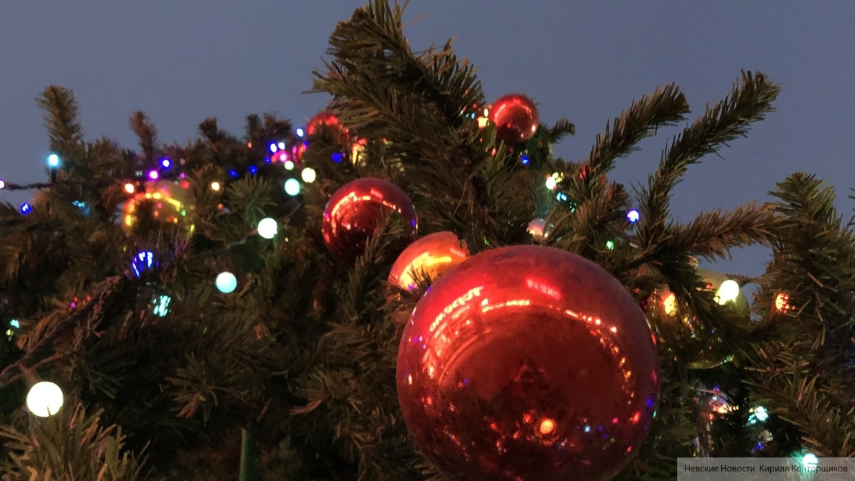 Новогодняя заметил. Фото елки новогодние Украины.