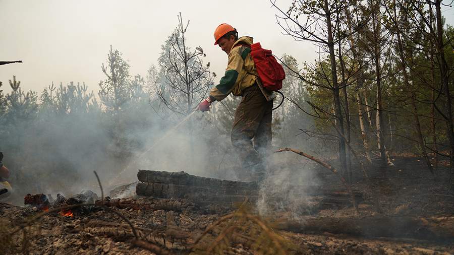Площадь лесных пожаров в Еврейской автономной области превысила 19 тыс. га