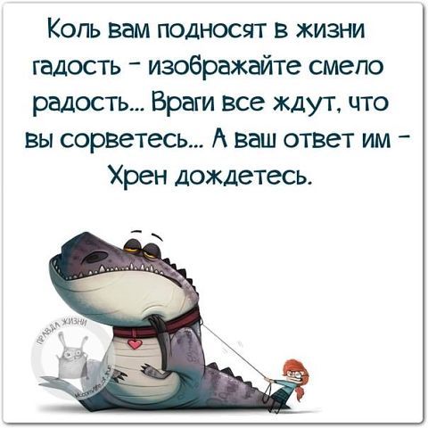 Пришла пора зарядиться позитивом! Подборка зажигательного юмора Пришла пора зарядиться позитивом! Подборка зажигательного юмора