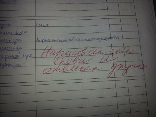 Смешные замечания из школьных дневников 