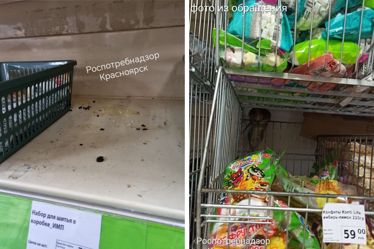 На Красрабе в Красноярске закрыли «Fix Price» из-за крыс