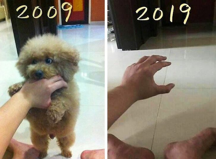 15 эмоциональных снимков, которые находят мощный отклик в душе 15 эмоциональных снимков, которые находят мощный отклик в душе жизнь,мир