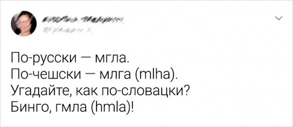 Подборка забавных твитов про иностранные языки