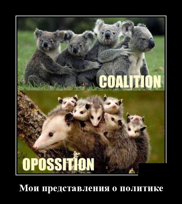 Позитивные и смешные демотиваторы для веселья и улыбки 