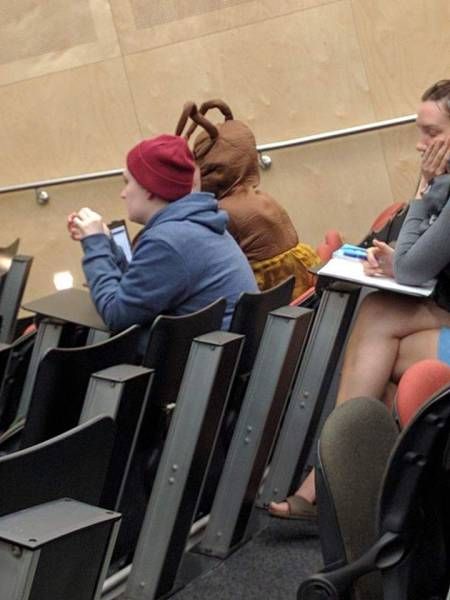 Прикольная фотоподборка (55 фото)