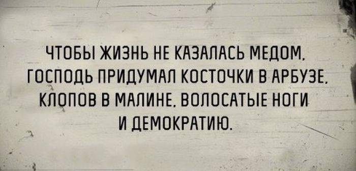 Подборка картинок. Вечерний выпуск (56 фото)