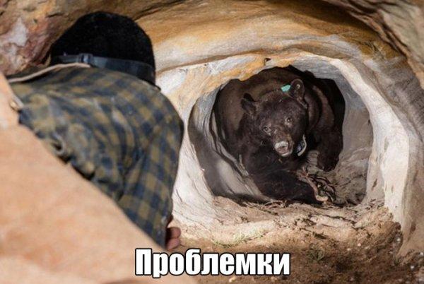 Давайте улыбаться вместе :) Давайте улыбаться вместе :)