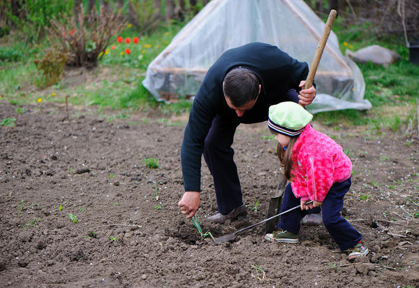 Главное правило обустройства детского огорода: создавайте его вместе с ребенком
