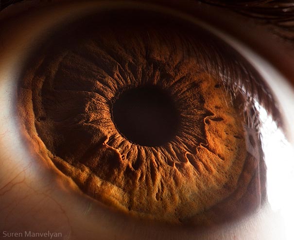 15 макро фотографий человеческих глаз глаза, Армянский, предполагал, неизведанной, поверхность, словно, структура, красивая, какая, подозреваем, сотни, видим, результат “Каждый, такой, увидит, природный, объективСурен, учитель, смахивают, больше