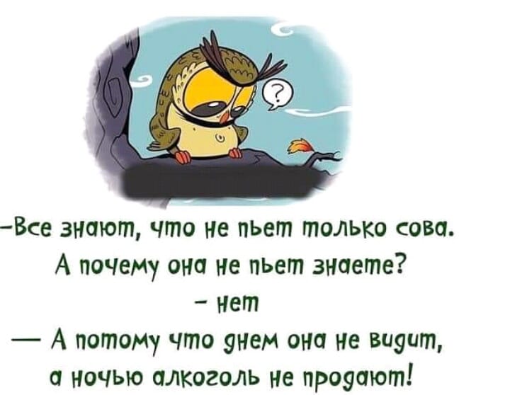 Смысл жизни анекдоты. Прикольные афоризмы в картинках. Слова со смыслом в картинках прикольные. Картинки с Цитатами прикольные. Юмор в картинках со смыслом.