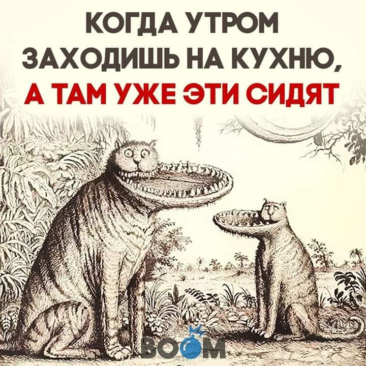 - Нам тут путевку предложили в Майами. На буклете такой здоровенный негр улыбается... - Нам тут путевку предложили в Майами. На буклете такой здоровенный негр улыбается... Весёлые,прикольные и забавные фотки и картинки,А так же анекдоты и приятное общение