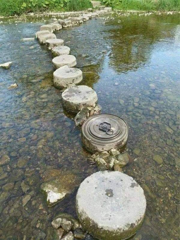 Приколы на любой вкус приколы,смешные картинки,юмор